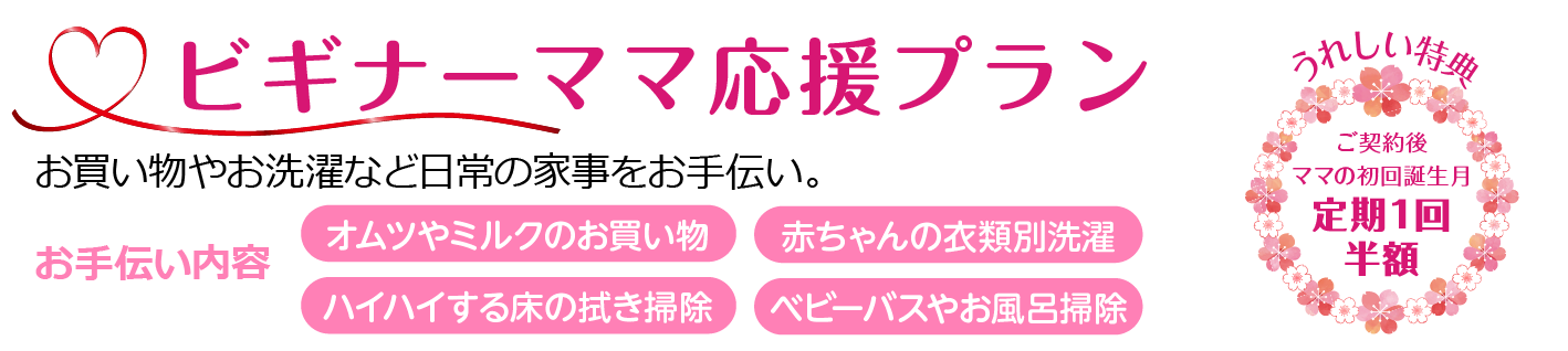 ビギナーママ応援プラン