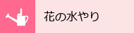 花の水やり