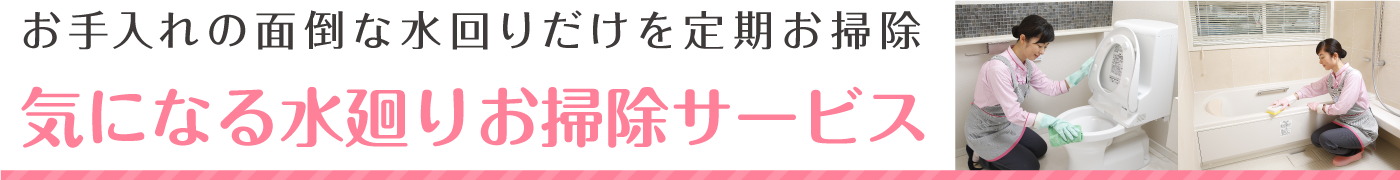 お手入れの面倒な水回りだけを定期お掃除。