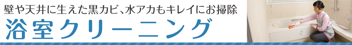 自分では手に負えない、壁や天井に生えた黒カビ、水アカもキレイに仕上げます。